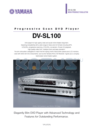 DV-SL100 datasheet - Progressive Scan DVD Player