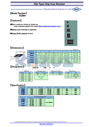 FCR16-100JV datasheet - Flat Type Chip Fuse Resistor