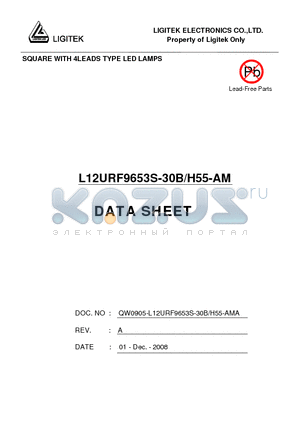 L12URF9653S-30B-H55-AM datasheet - SQUARE WITH 4LEADS TYPE LED LAMPS