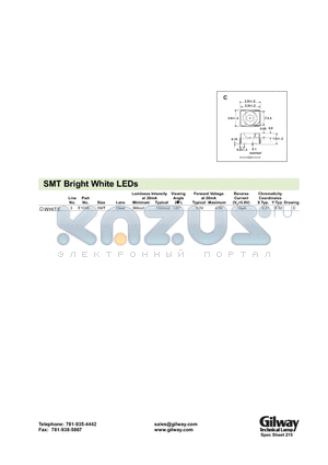 E1008 datasheet - SMT Bright White LEDs