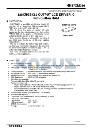 HM17CM256 datasheet - 128XRGBX82 OUTPUT LCD DRIVER IC with built-in RAM