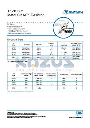 GF-20C1002G datasheet - Thick Film Metal Glaze Resistor