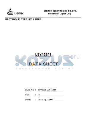 L8Y45841 datasheet - RECTANGLE TYPE LED LAMPS