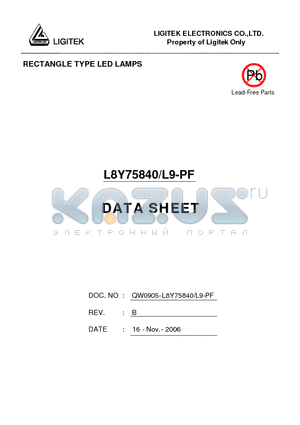 L8Y75840 datasheet - RECTANGLE TYPE LED LAMPS