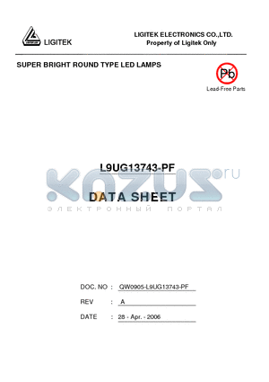 L9UG13743-PF datasheet - SUPER BRIGHT ROUND TYPE LED LAMPS