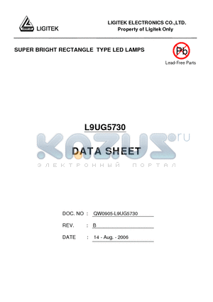 L9UG5730 datasheet - SUPER BRIGHT RECTANGLE TYPE LED LAMPS