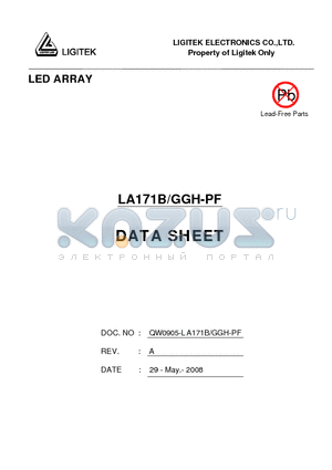 LA171B-GGH-PF datasheet - LED ARRAY