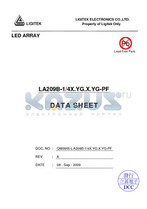 LA209B-1-4X.YG.X.YG-PF datasheet - LED ARRAY
