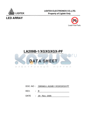 LA209B-1-XGXGXGX-PF datasheet - LED ARRAY