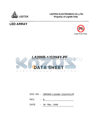 LA209B-1-G2H4Y-PF datasheet - LED ARRAY