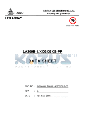 LA209B-1-XXGXGXG-PF datasheet - LED ARRAY