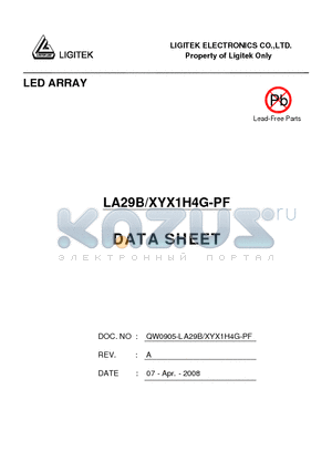 LA29B-XYX1H4G-PF datasheet - LED ARRAY