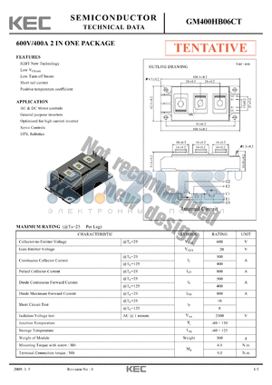 GM400HB06CT datasheet - 600V/400A 2 IN ONE PACKAGE