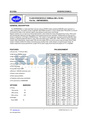 HMF8M32M8GL-75 datasheet - FLASH-ROM MODULE 32MByte (8M x 32-Bit)