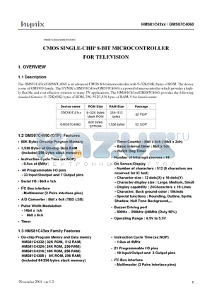 HMS81C43XX datasheet - CMOS SINGLE-CHIP 8-BIT MICROCONTROLLER FOR TELEVISION