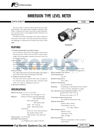 EDS7-11D datasheet - IMMERSION TYPE LEVEL METER