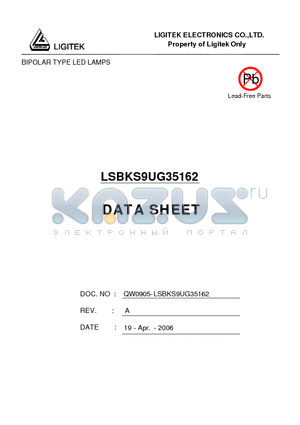 LSBKS9UG35162 datasheet - BIPOLAR TYPE LED LAMPS