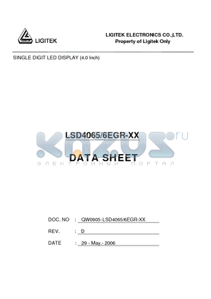 LSD4065-6EGR-XX datasheet - SINGLE DIGIT LED DISPLAY (4.0 Inch)