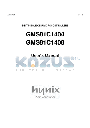 GMS87C1404SK datasheet - 8-BIT SINGLE-CHIP MICROCONTROLLERS