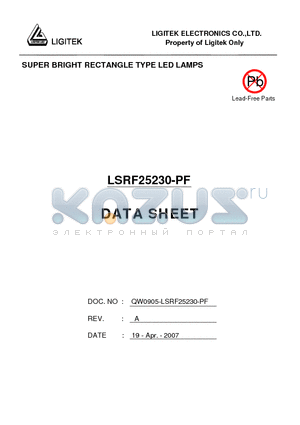 LSRF25230-PF datasheet - SUPER BRIGHT RECTANGLE TYPE LED LAMPS