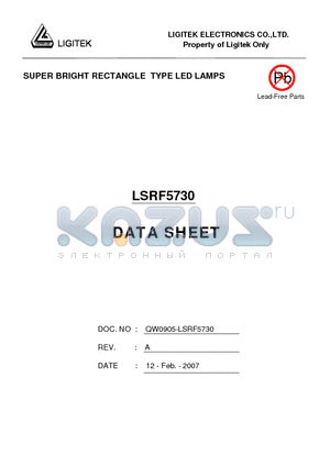 LSRF5730 datasheet - SUPER BRIGHT RECTANGLE TYPE LED LAMPS
