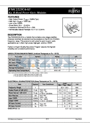 FMC2223C6-03 datasheet - Ku K-Brand Power GaAs Modules