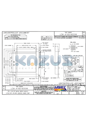 LCM-S160160GSR datasheet - 160x160 DOT MATRIX GRAPHIC MODULE