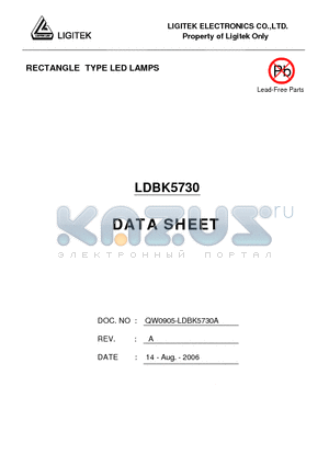 LDBK5730 datasheet - RECTANGLE TYPE LED LAMPS