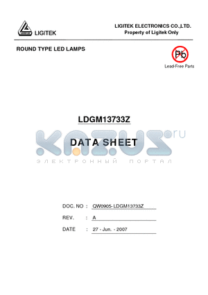 LDGM13733Z datasheet - ROUND TYPE LED LAMPS