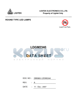 LDGM2340 datasheet - ROUND TYPE LED LAMPS