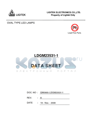 LDGM23531-1 datasheet - OVAL TYPE LED LAMPS
