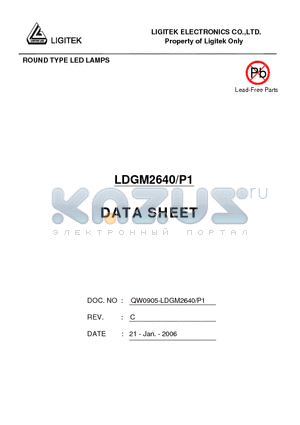 LDGM2640-P1 datasheet - ROUND TYPE LED LAMPS