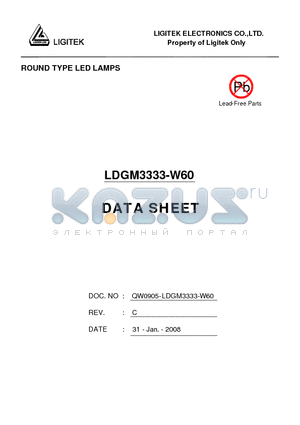 LDGM3333-W60 datasheet - ROUND TYPE LED LAMPS