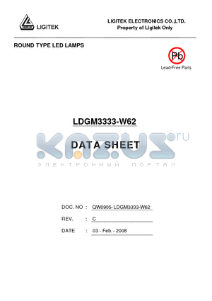 LDGM3333-W62 datasheet - ROUND TYPE LED LAMPS