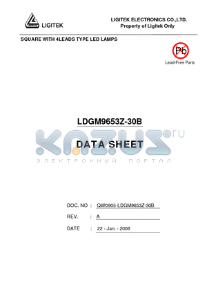 LDGM9653Z-30B datasheet - SQUARE WITH 4LEADS TYPE LED LAMPS