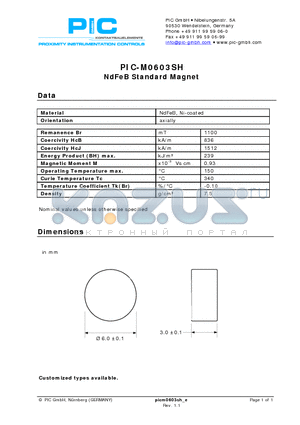 PIC-M0603SH datasheet - NdFeB Standard Magnet