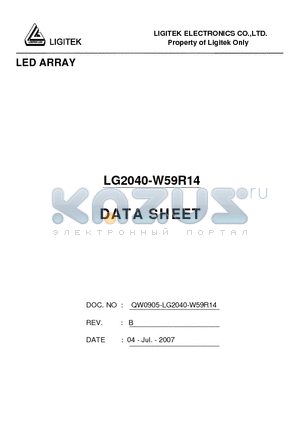 LG2040-W59R14 datasheet - LED ARRAY