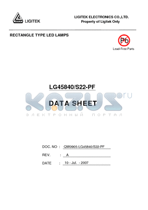 LG45840-S22-PF datasheet - RECTANGLE TYPE LED LAMPS