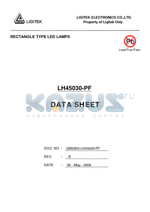 LH45030-PF datasheet - RECTANGLE TYPE LED LAMPS