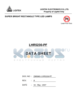 LHR5230-PF datasheet - SUPER BRIGHT RECTANGLE TYPE LED LAMPS