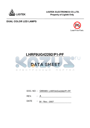 LHRF9UG42292-P1-PF datasheet - DUAL COLOR LED LAMPS