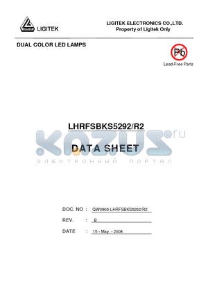 LHRFSBKS5292-R2 datasheet - DUAL COLOR LED LAMPS