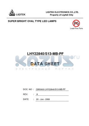 LHY22840-S13-MB-PF datasheet - SUPER BRIGHT OVAL TYPE LED LAMPS