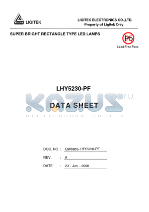 LHY5230-PF datasheet - SUPER BRIGHT RECTANGLE TYPE LED LAMPS