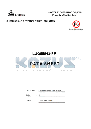 LUG55543-PF datasheet - SUPER BRIGHT RECTANGLE TYPE LED LAMPS