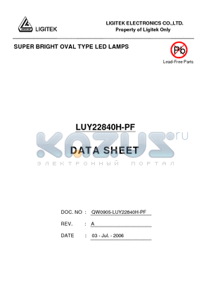 LUY22840H-PF datasheet - SUPER BRIGHT OVAL TYPE LED LAMPS