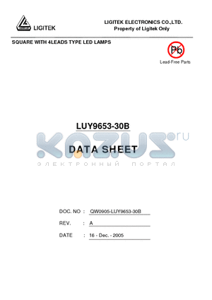 LUY9653-30B datasheet - SQUARE WITH 4LEADS TYPE LED LAMPS