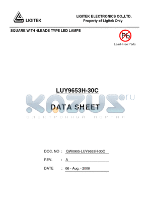 LUY9653H-30C datasheet - SQUARE WITH 4LEADS TYPE LED LAMPS