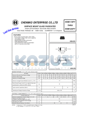 HSM11SPT datasheet - HIGH EFFICIENCY SILICON RECTIFIER