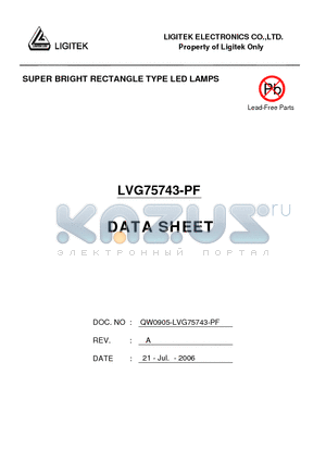 LVG75743-PF datasheet - SUPER BRIGHT RECTANGLE TYPE LED LAMPS
